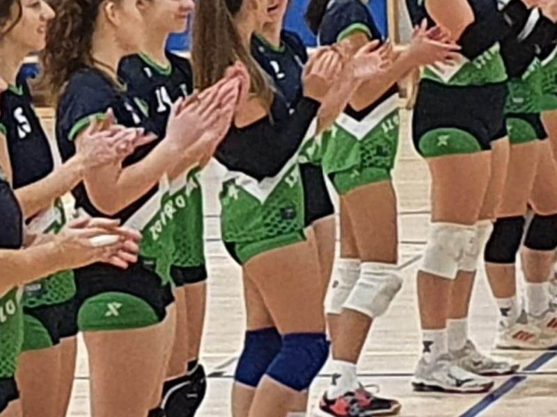 Foto: OK Volley LiPa