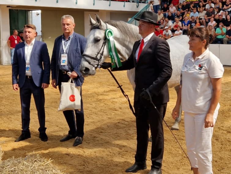 Foto: Državna ergela Lipik