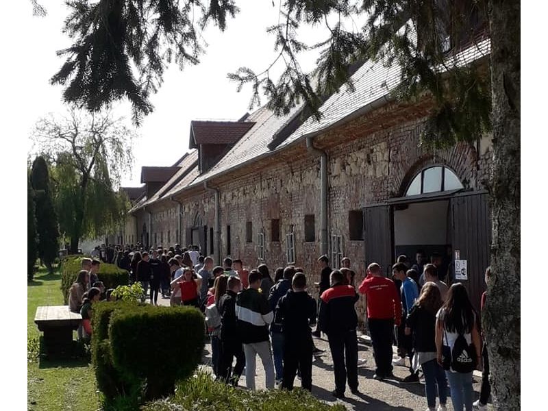 Foto: Državna ergela Lipik