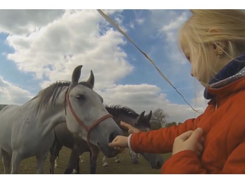 Foto: screenshot SEFF in Lipik