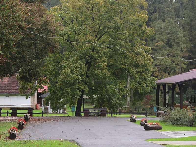 ŠRC Kukavica