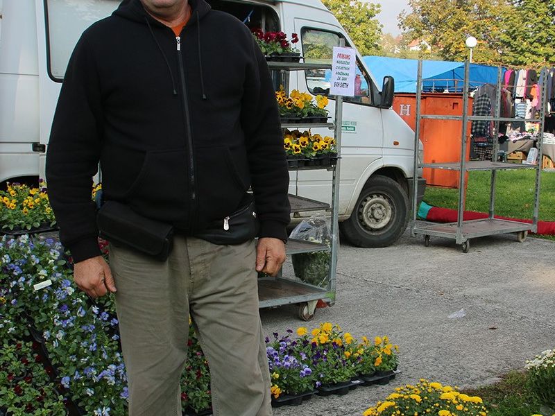 OPG Pavičić