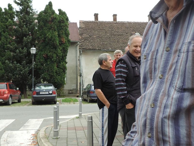 Ante Jelčić