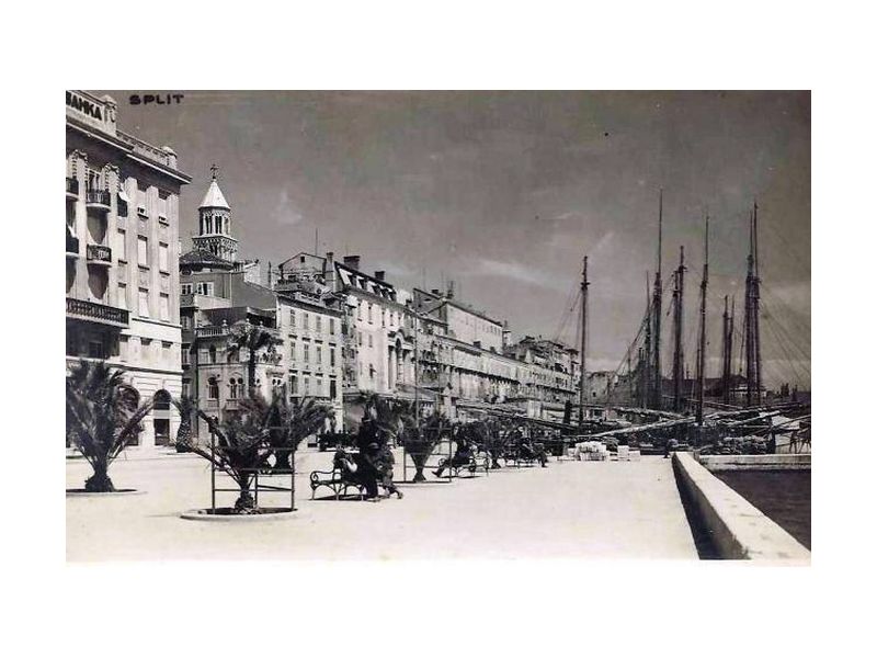 mlade palme posađene na splitskoj rivi 1926. godine