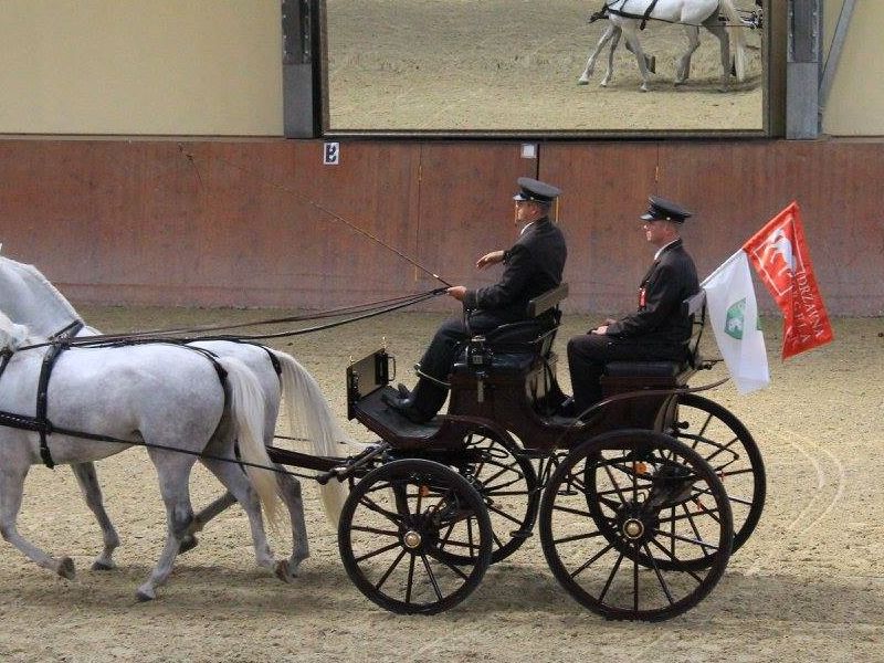 izvor fotografije: Državna ergela Đakovo i Lipik
