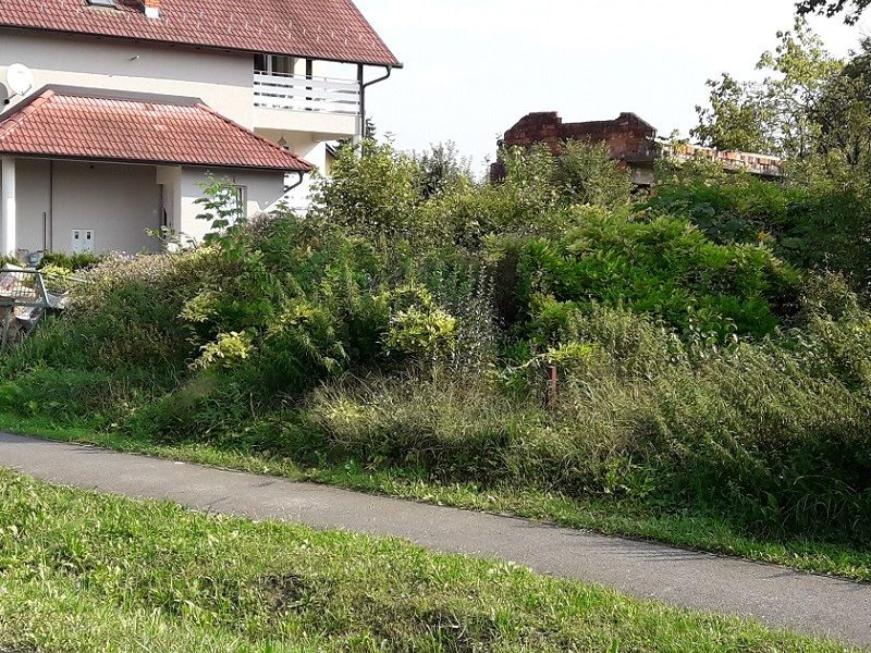 Jadranska ulica