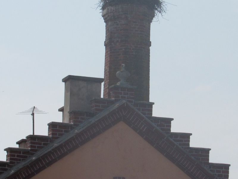 Pakrac