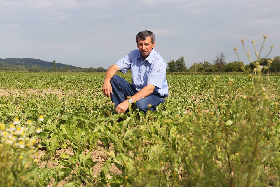 Željko Viboh