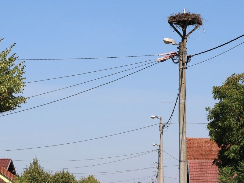 Lipik
