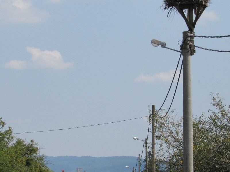 Kukunjevac