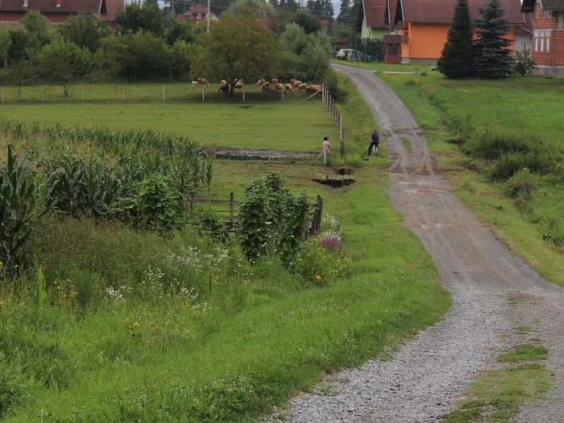 Foto: Ulica Đure Salaja u Dobrovcu 