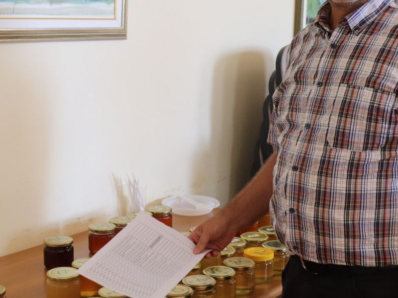 Prof. dr. sc. Dragan Bubalo