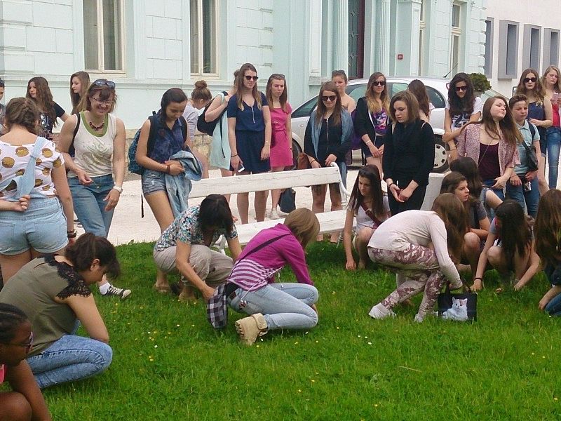 u potrazi za Jelkinim prstenom (fotografija: Martina Terranova)