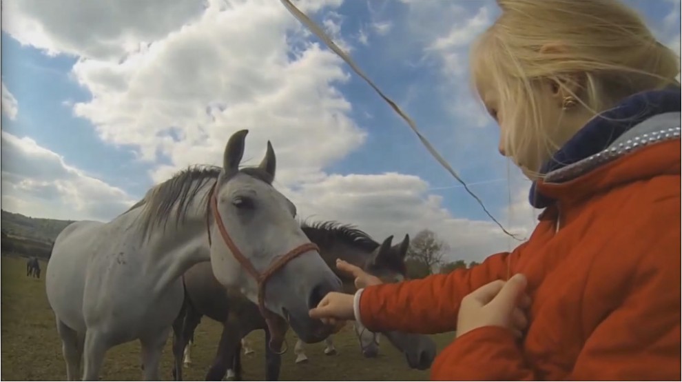Foto: screenshot SEFF in Lipik