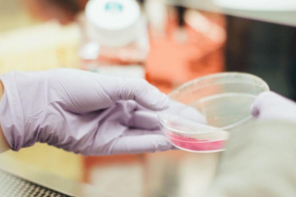 Foto: koronavirus.hr