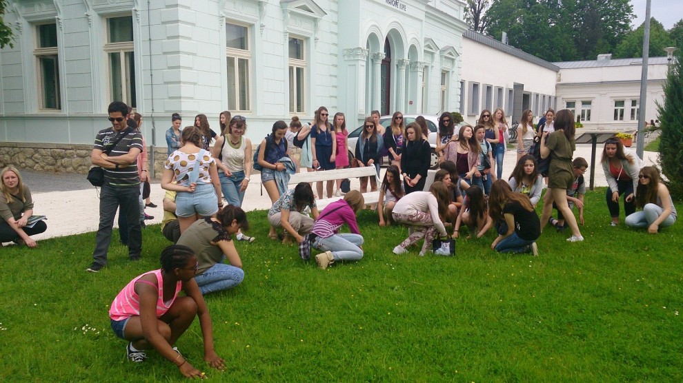 u potrazi za Jelkinim prstenom (fotografija: Martina Terranova)